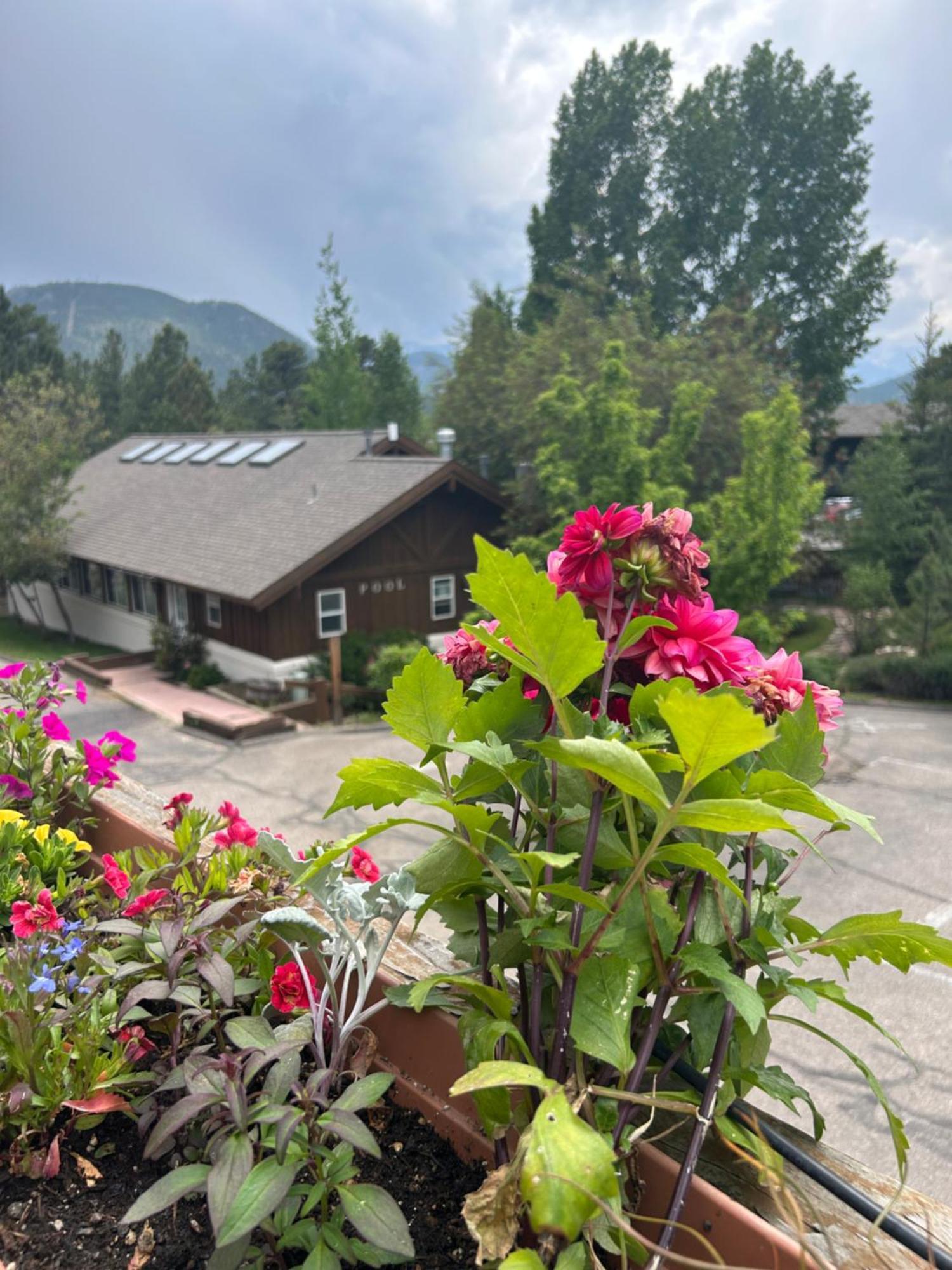 Appenzell Inn Estes Park Extérieur photo